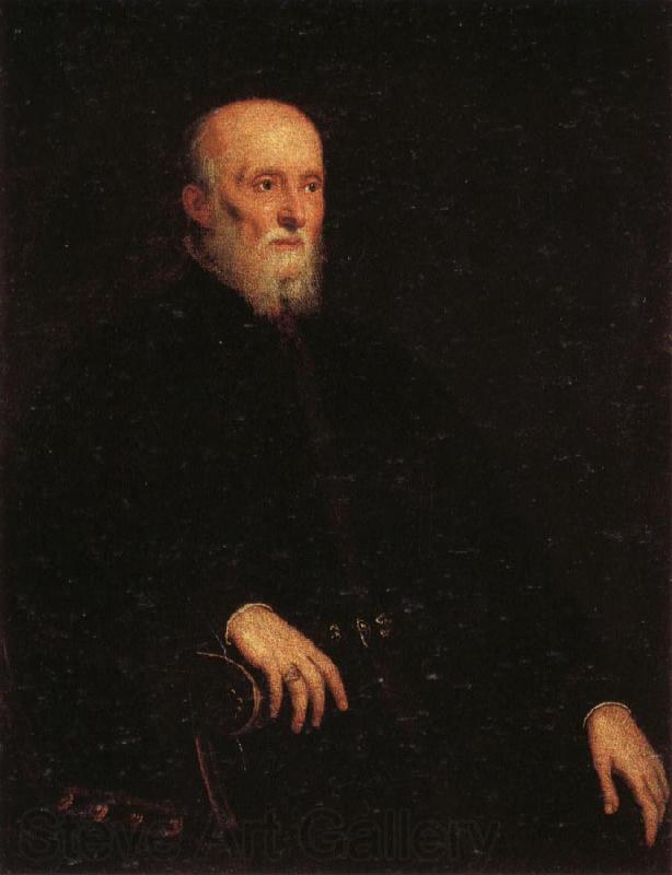 Jacopo Tintoretto Portrati of Alvise Cornaro Norge oil painting art
